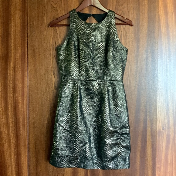Jack by BB Dakota Dresses & Skirts - Jack Bronze Cocktail Dress